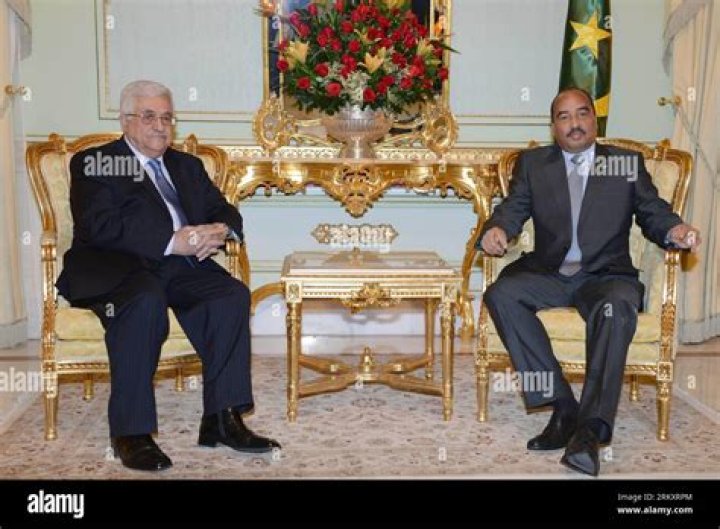 Mohamed Mahmoud Abdel Aziz Net Worth, Age, Height, Bio, Birthday, Wiki!