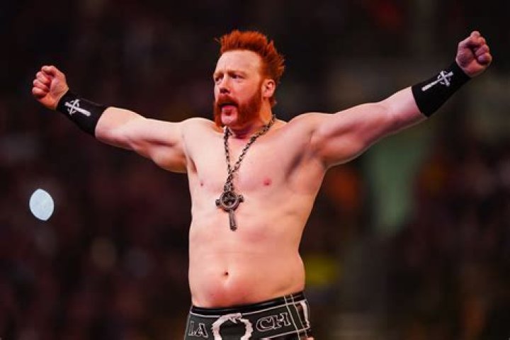 Sheamus Net Worth 2024, Age, Height, Bio, Birthday, Wiki!