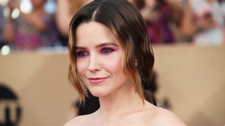 Sophia Bush Plastic Surgery Before and After