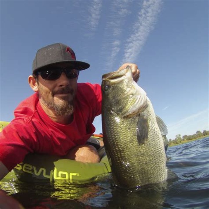 Urban Bass Slayers Статистика видео